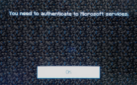 MS services.jpg