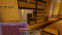 Minecraft Screenshot 2020.08.13 - 00.16.56.29.png