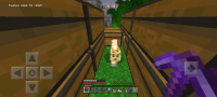 Screenshot_2020-08-14-19-39-50-599_com.mojang.minecraftpe.jpg