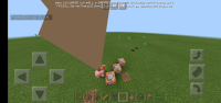 Screenshot_20200819-153248_Minecraft.jpg