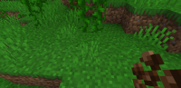Screenshot_20200818-223857_Minecraft.jpg