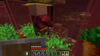 Minecraft_ 1.16.1 - Multiplayer (3rd-party Server) 22_08_2020 13.47.01.png