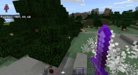 Minecraft 2020-07-06 15-24-03_Moment.jpg