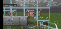 Screenshot_20200913-071929_Minecraft.jpg