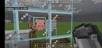 Screenshot_20200913-071848_Minecraft.jpg