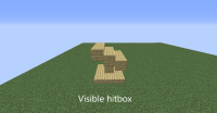 visible hitbox.png