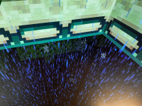 End_portal_bug.jpg