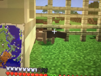 IMG_9073.jpeg