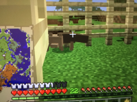 IMG_9072.jpeg