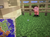 IMG_9071.jpeg