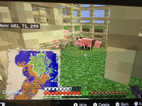 IMG_9070.jpeg