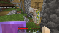 Minecraft 30_05_2020 09_02_58 a. m..png