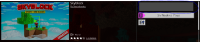 minecraft bug.PNG