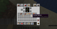 2020-09-24_18.13.47_2.png