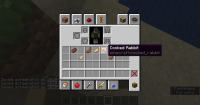 2020-09-24_18.13.45_2.png