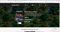 the minecraft page.png
