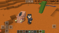 Screenshot_20201008-214701_Minecraft.jpg