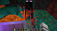bug.jpg