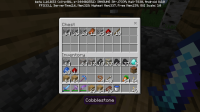 Screenshot_20201010-202936_Minecraft.jpg
