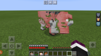 Screenshot_20201010-135108_Minecraft.jpg