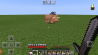 Screenshot_20201014-123946_Minecraft.jpg