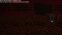 zombified_piglin_bug.jpg