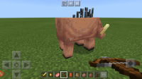 Screenshot_20201014-142814_Minecraft.jpg