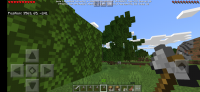 Screenshot_20201019-183833_Minecraft.jpg