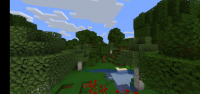 Screenshot_20201020-085151_Minecraft.jpg