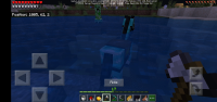 Screenshot_20201020-212252_Minecraft.jpg