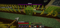 Screenshot_20201022-211532_Minecraft.jpg