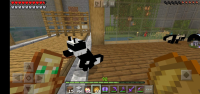 received_3385872274831212-1.jpeg