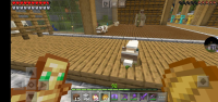 received_384564402729830-1.jpeg