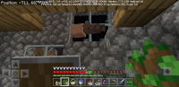 Screenshot_20201024-213126_Minecraft.jpg
