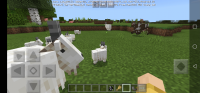 Screenshot_20201028_190354_com.mojang.minecraftpe.jpg