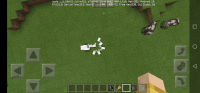 Screenshot_20201028_190346_com.mojang.minecraftpe.jpg