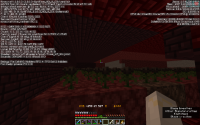 Wither Skele Farm F3.png