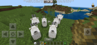 Screenshot_20201105-095613_Minecraft.jpg