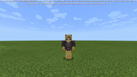 Bedrock.png