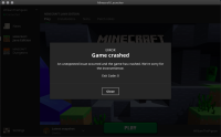 Crash report.png