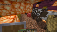 Capture.PNG