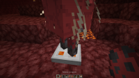Minecraft Screenshot 2020.11.11 - 14.27.55.48.png