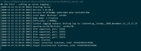 minecraft-bedrock-server-terminal.png