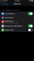 iOS 14 Minecraft settings.jpg