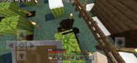 8D0BEB3B-FD35-416F-AB16-0CC185483DDA.png