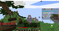 Minecraft_ 1.16.4 11_18_2020 10_23_54 AM.png
