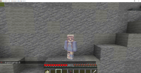 Minecraft_ 1.16.4 11_18_2020 10_23_21 AM.png