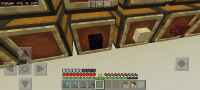 Screenshot_2020-11-19-03-33-21-474_com.mojang.minecraftpe.jpg