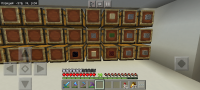 Screenshot_2020-11-19-03-33-00-429_com.mojang.minecraftpe.jpg
