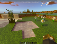 Minecraft 19_11_2020 11_43_40 AM.png
